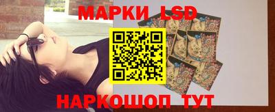 стаф Будённовск