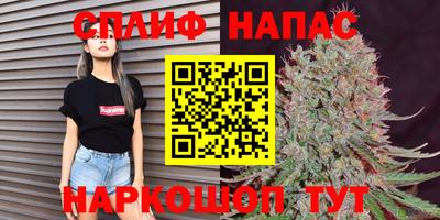 сатива Бузулук