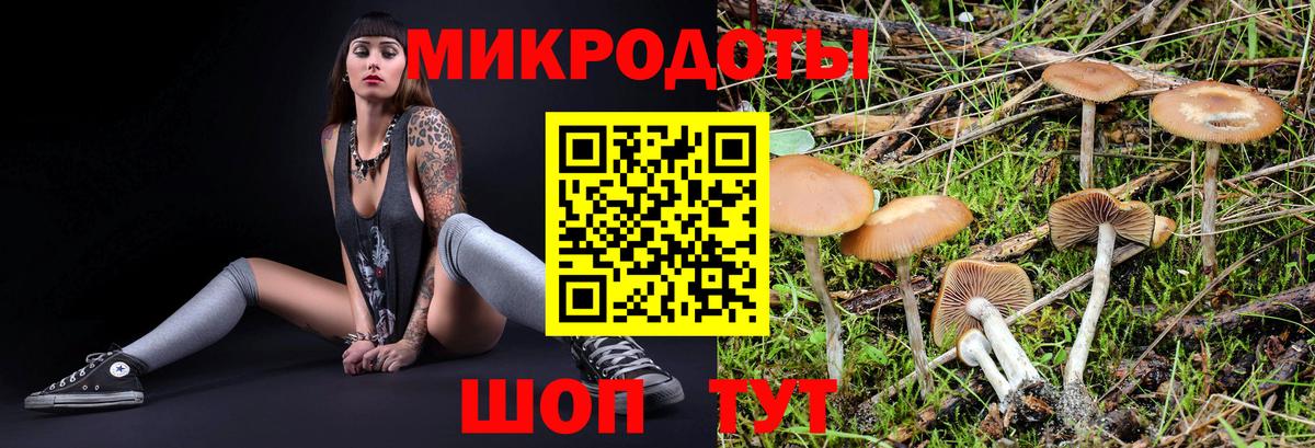 Галлюциногенные грибы GOLDEN TEACHER  Вход с VPN  Курчалой 
